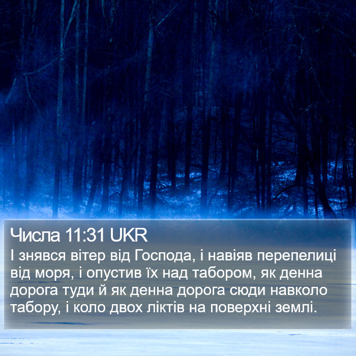 Числа 11:31 UKR Bible Study