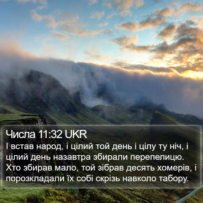 Числа 11:32 UKR Bible Study