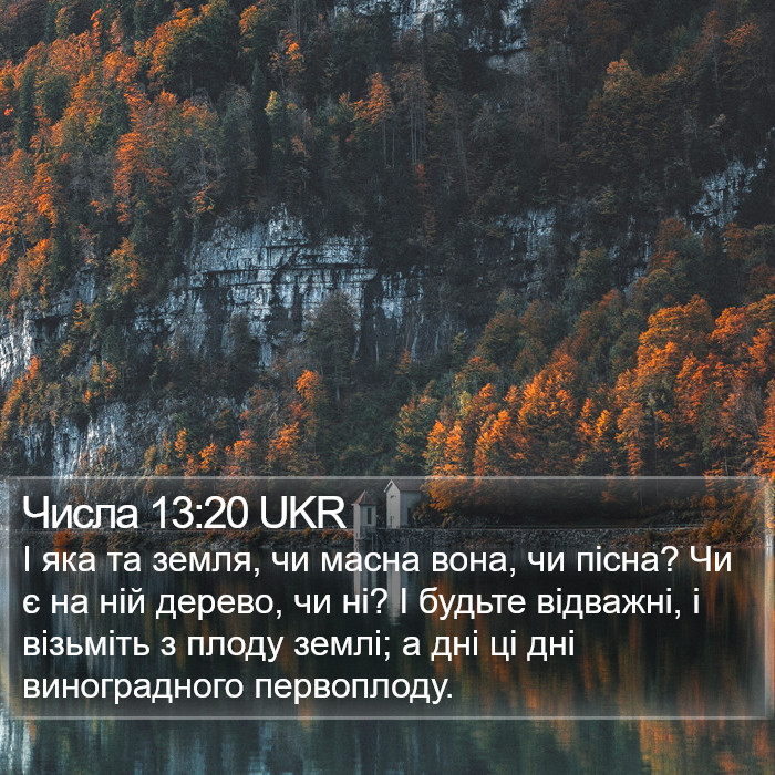 Числа 13:20 UKR Bible Study