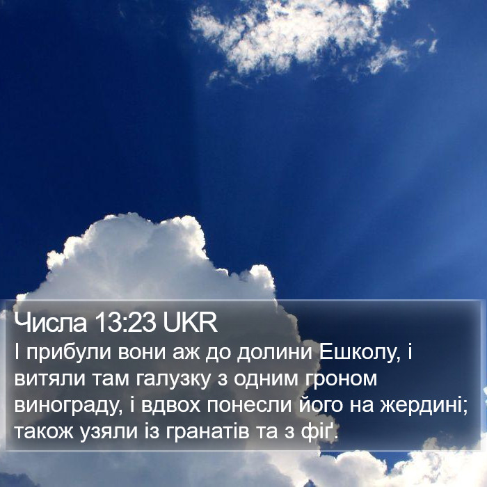 Числа 13:23 UKR Bible Study