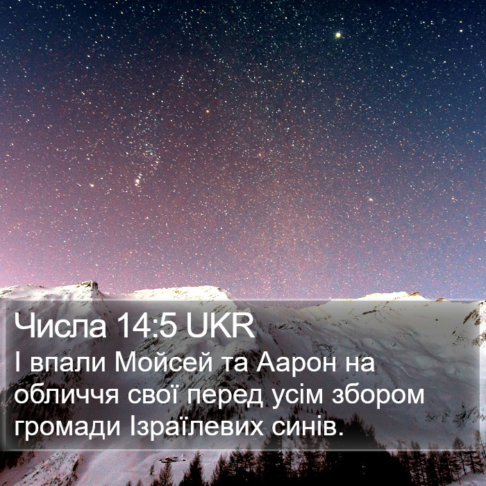 Числа 14:5 UKR Bible Study