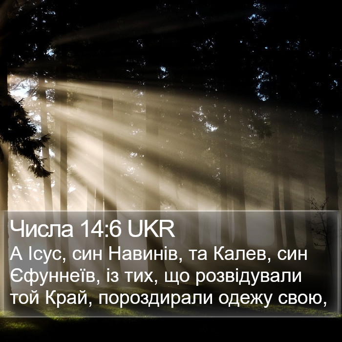 Числа 14:6 UKR Bible Study