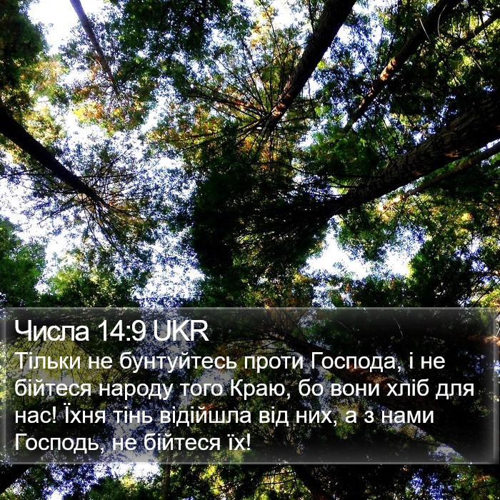 Числа 14:9 UKR Bible Study