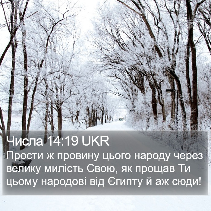 Числа 14:19 UKR Bible Study