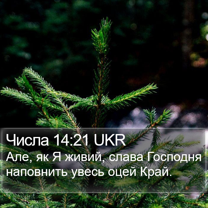 Числа 14:21 UKR Bible Study