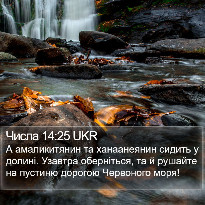 Числа 14:25 UKR Bible Study