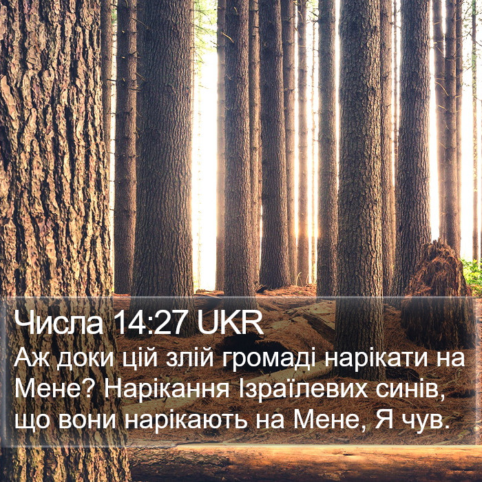 Числа 14:27 UKR Bible Study