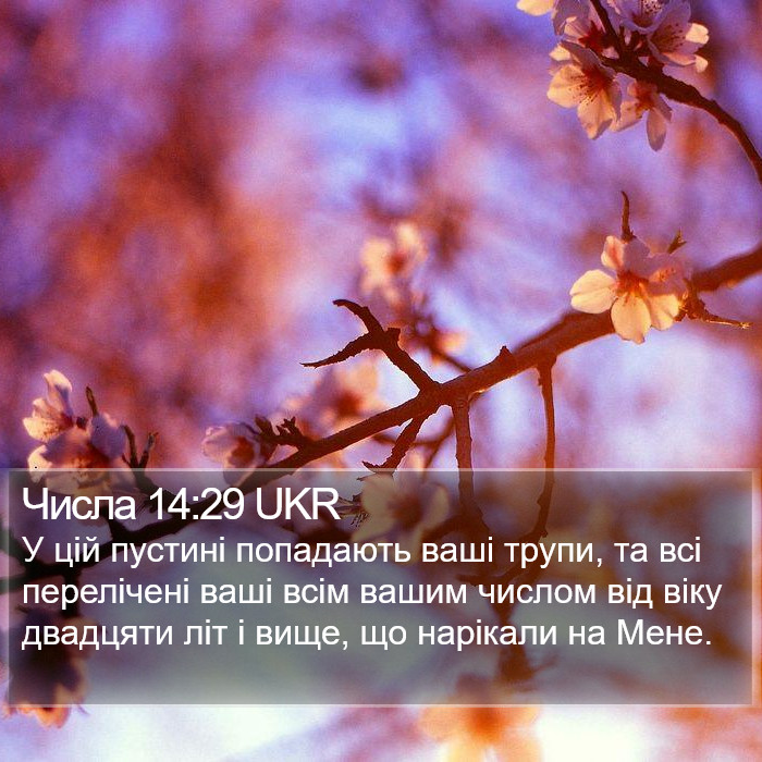 Числа 14:29 UKR Bible Study