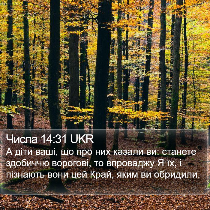 Числа 14:31 UKR Bible Study
