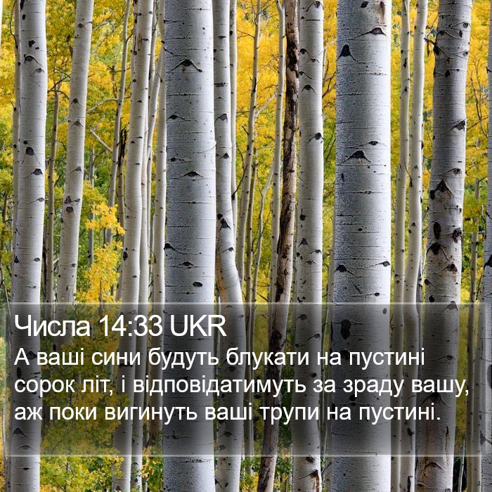 Числа 14:33 UKR Bible Study
