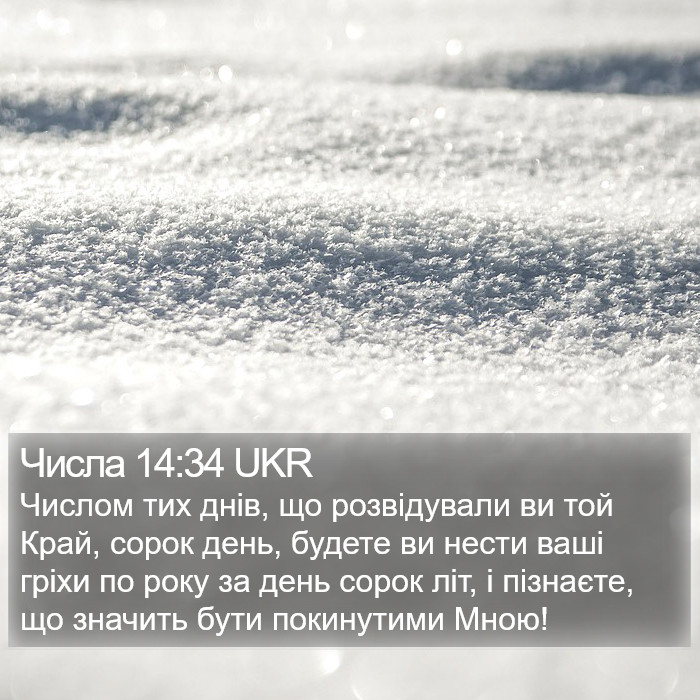 Числа 14:34 UKR Bible Study