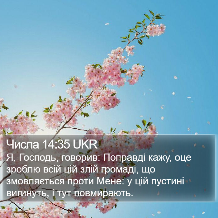 Числа 14:35 UKR Bible Study