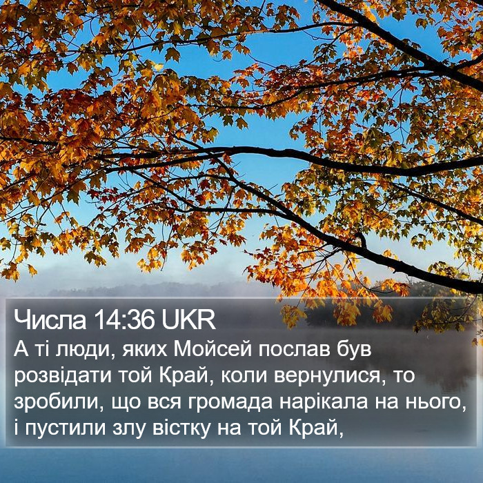 Числа 14:36 UKR Bible Study