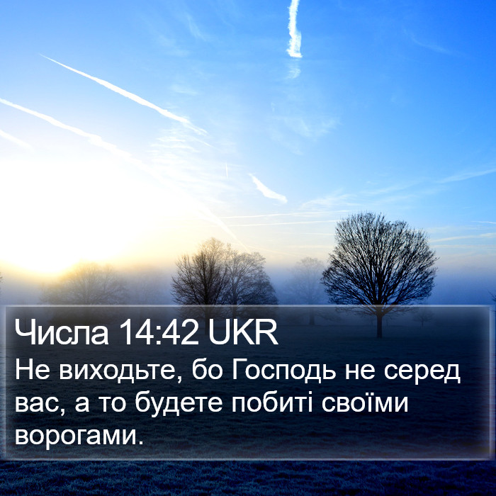 Числа 14:42 UKR Bible Study