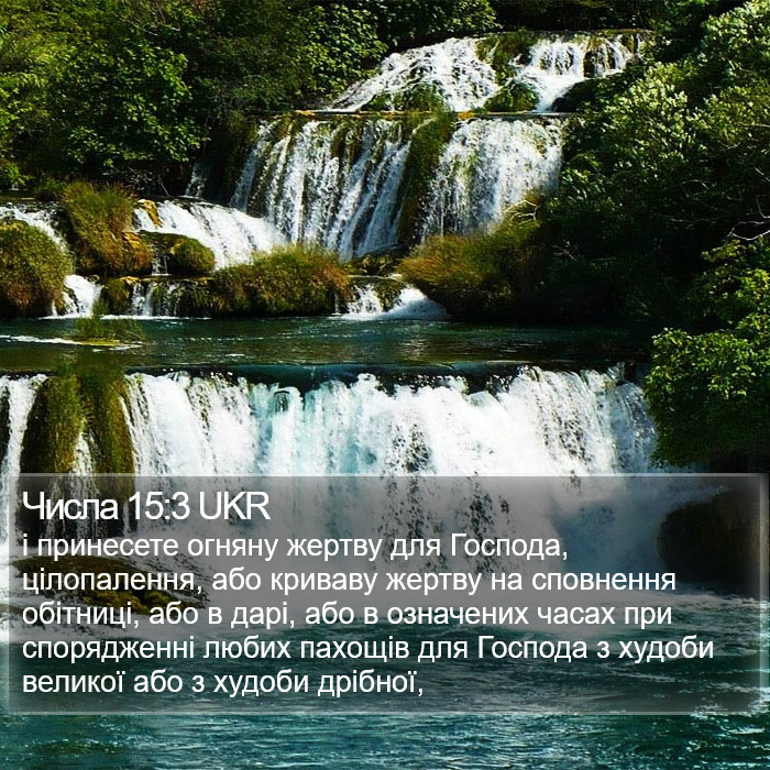 Числа 15:3 UKR Bible Study