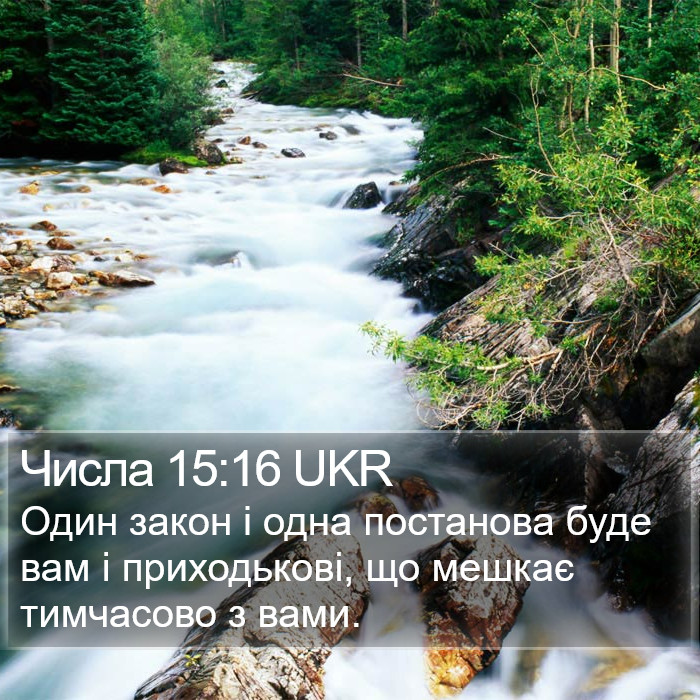 Числа 15:16 UKR Bible Study