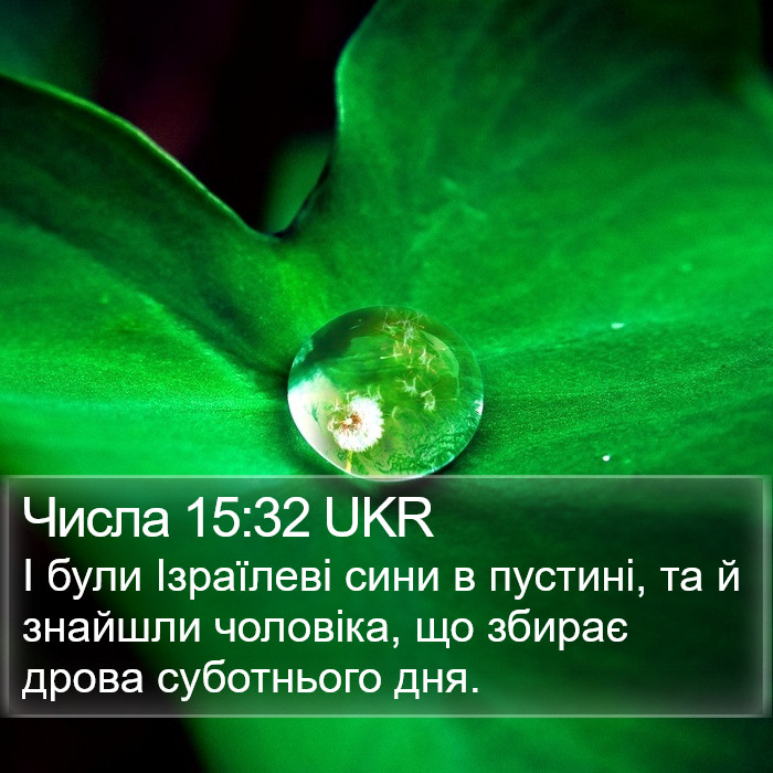Числа 15:32 UKR Bible Study