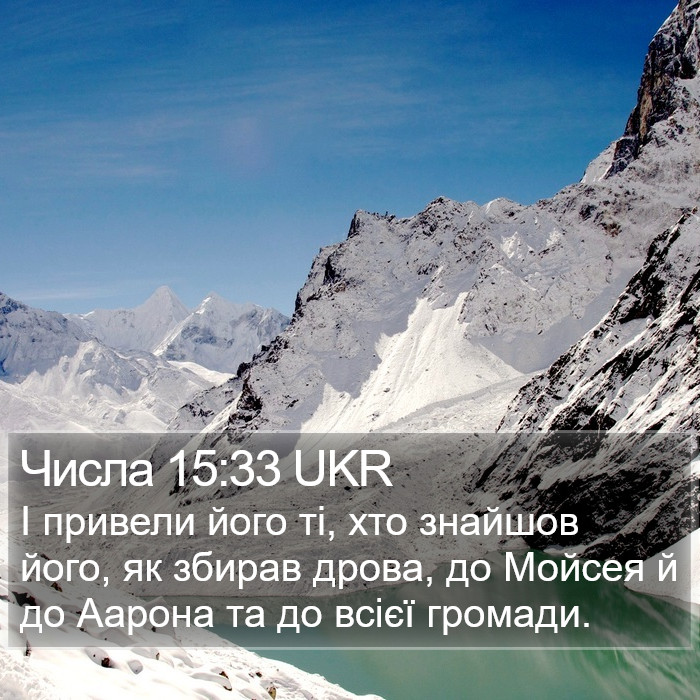 Числа 15:33 UKR Bible Study