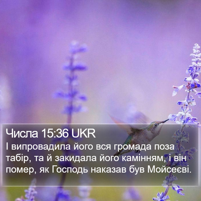 Числа 15:36 UKR Bible Study