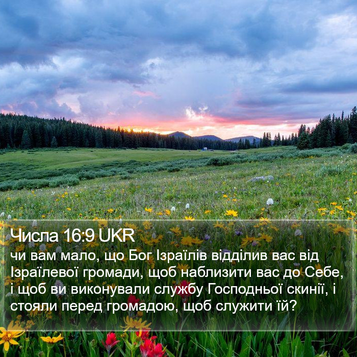 Числа 16:9 UKR Bible Study