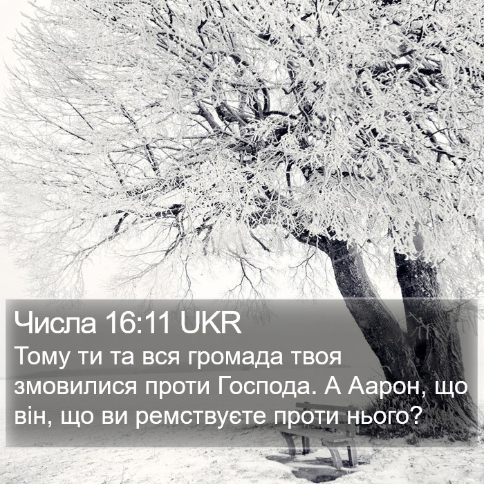 Числа 16:11 UKR Bible Study