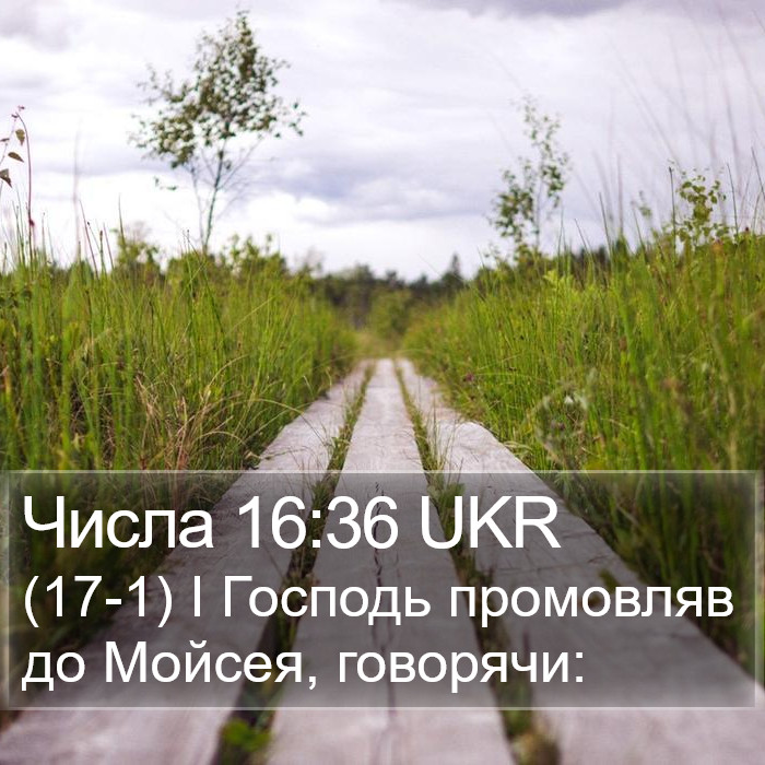 Числа 16:36 UKR Bible Study