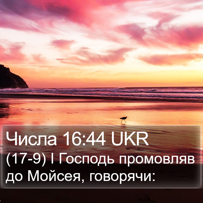 Числа 16:44 UKR Bible Study