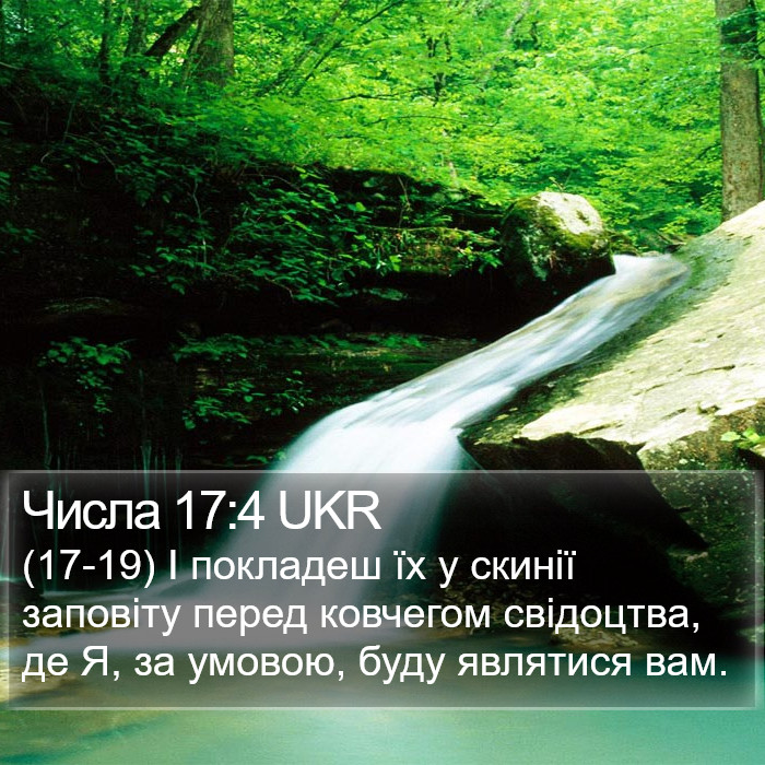 Числа 17:4 UKR Bible Study