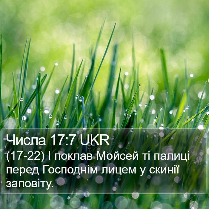 Числа 17:7 UKR Bible Study