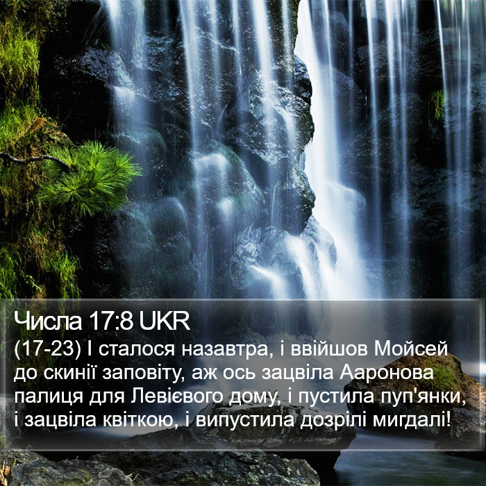 Числа 17:8 UKR Bible Study