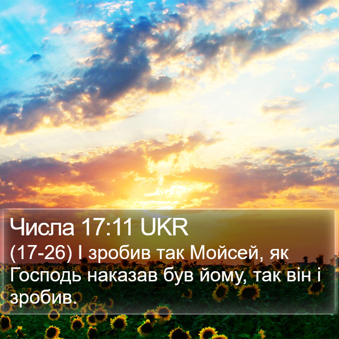 Числа 17:11 UKR Bible Study