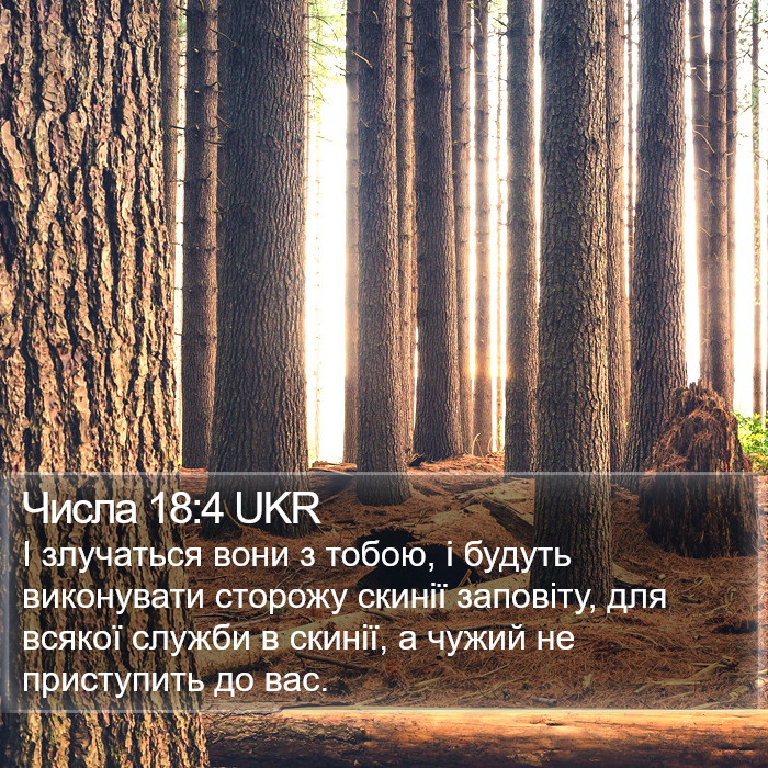 Числа 18:4 UKR Bible Study