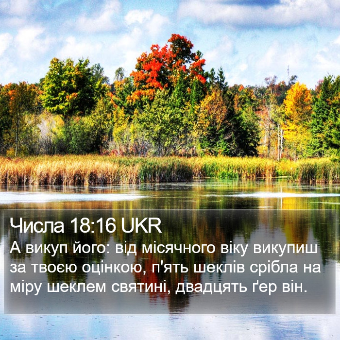 Числа 18:16 UKR Bible Study