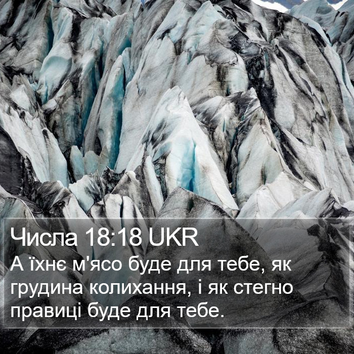 Числа 18:18 UKR Bible Study