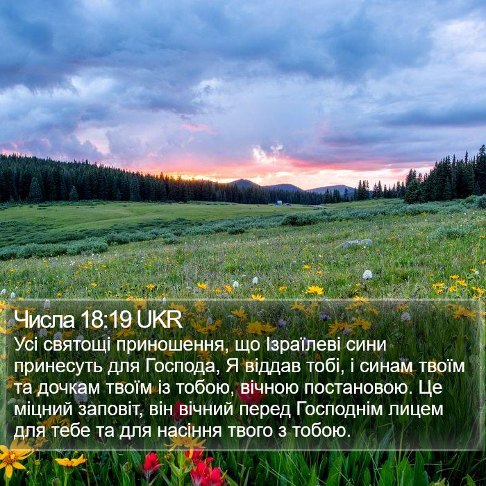 Числа 18:19 UKR Bible Study