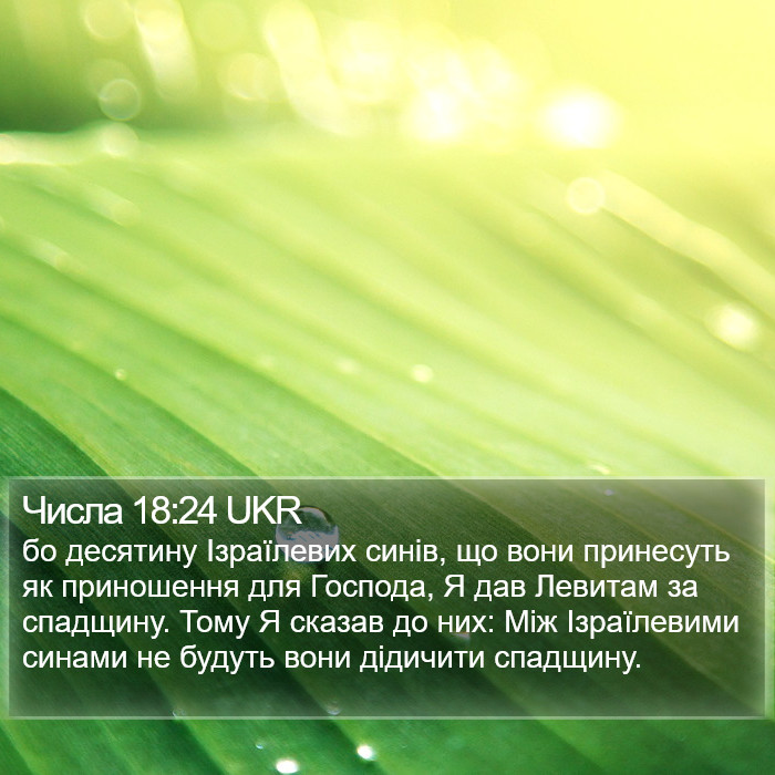 Числа 18:24 UKR Bible Study