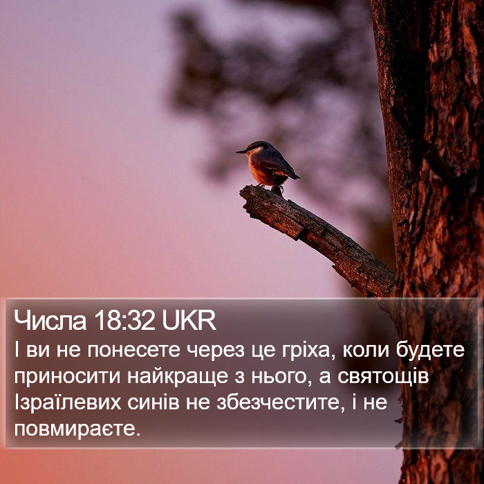 Числа 18:32 UKR Bible Study