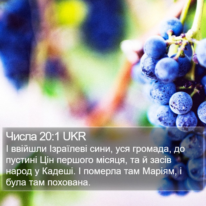 Числа 20:1 UKR Bible Study