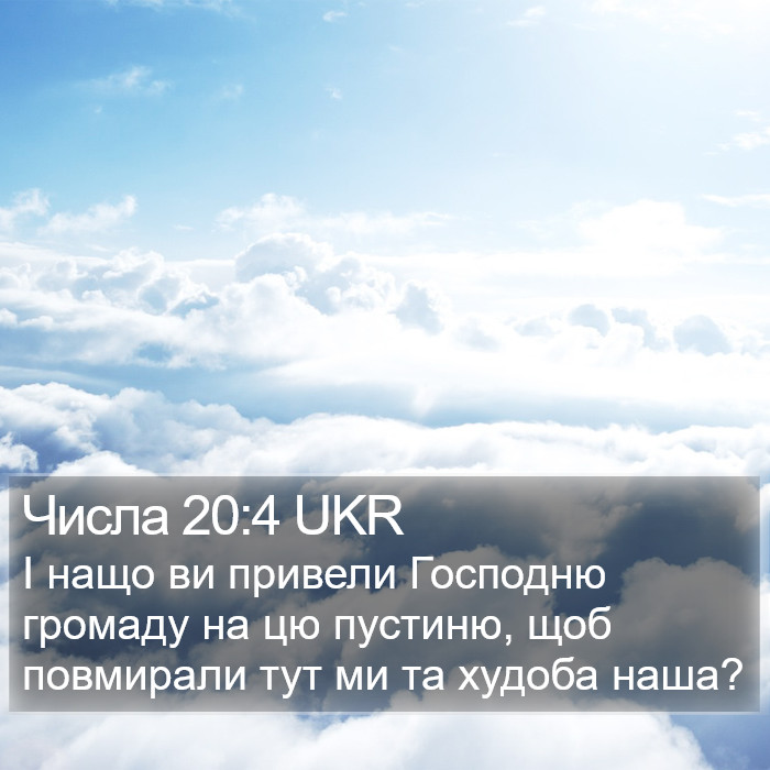 Числа 20:4 UKR Bible Study