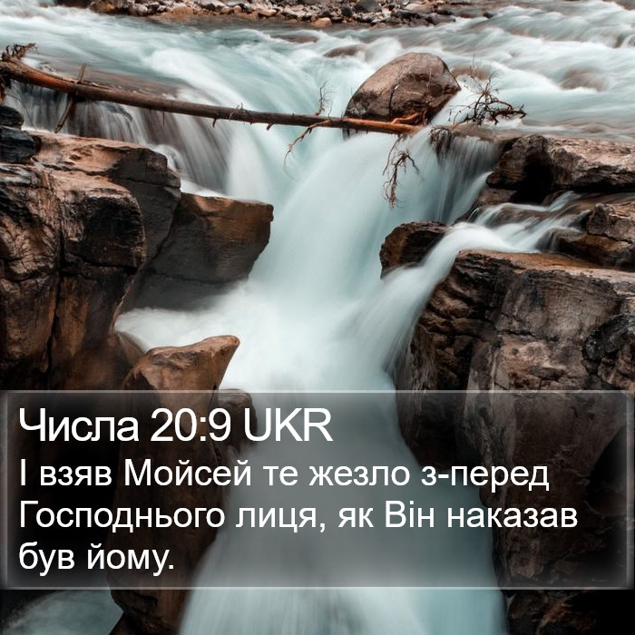 Числа 20:9 UKR Bible Study