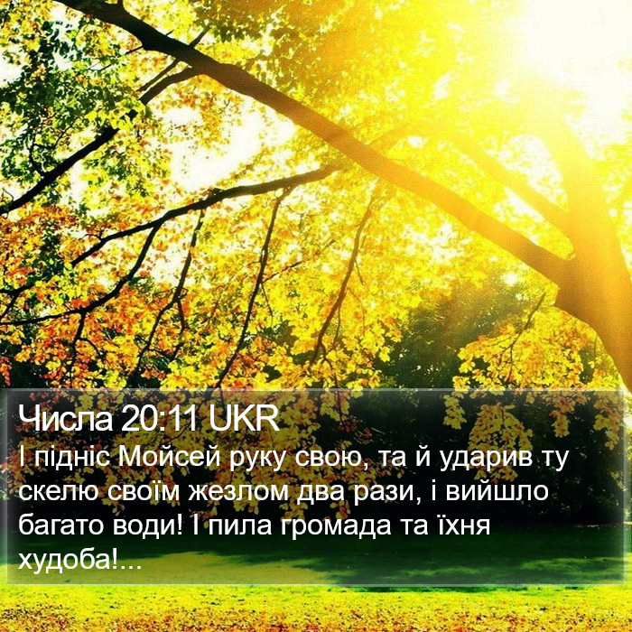 Числа 20:11 UKR Bible Study