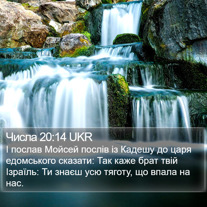 Числа 20:14 UKR Bible Study