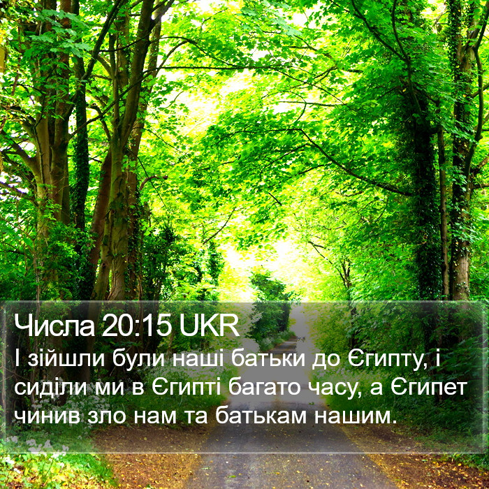 Числа 20:15 UKR Bible Study