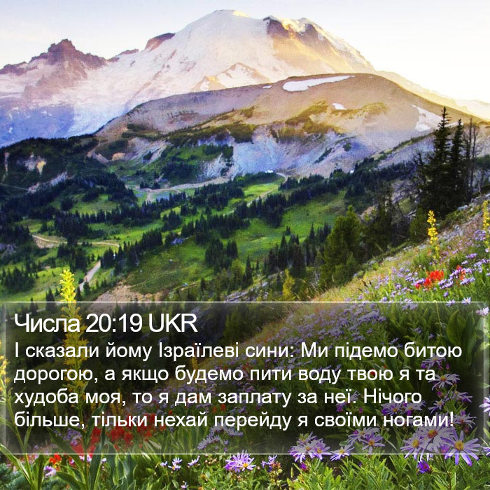 Числа 20:19 UKR Bible Study