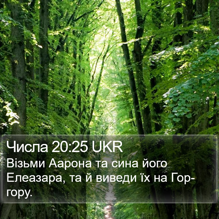 Числа 20:25 UKR Bible Study