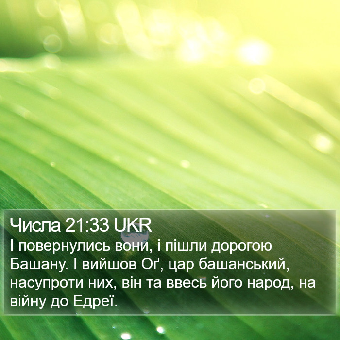 Числа 21:33 UKR Bible Study