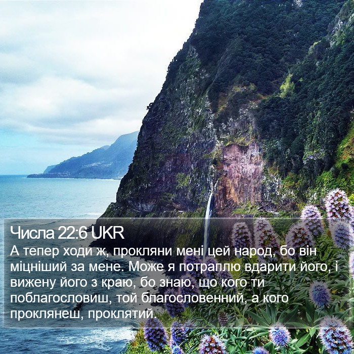 Числа 22:6 UKR Bible Study