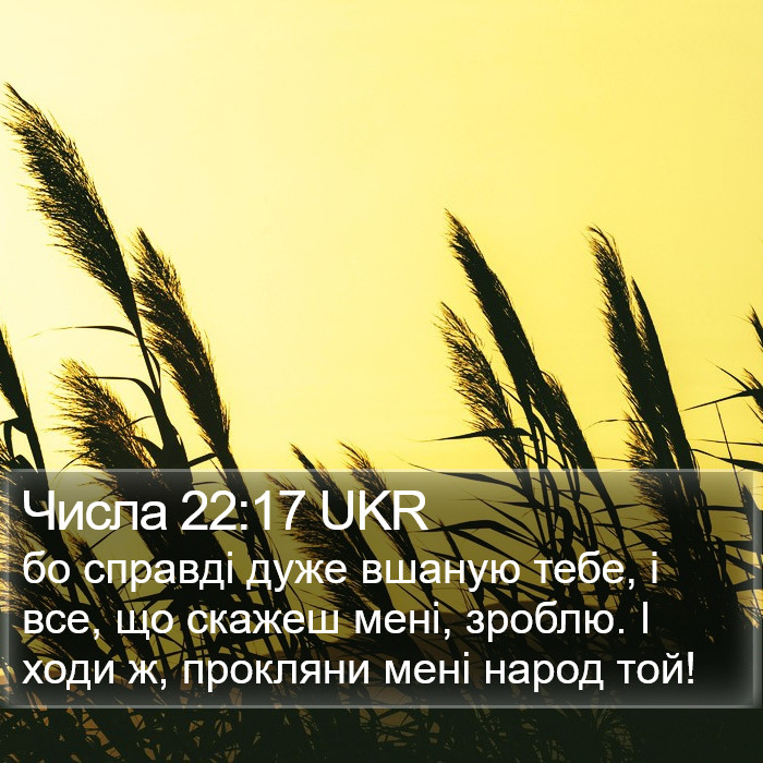 Числа 22:17 UKR Bible Study