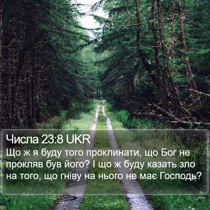 Числа 23:8 UKR Bible Study