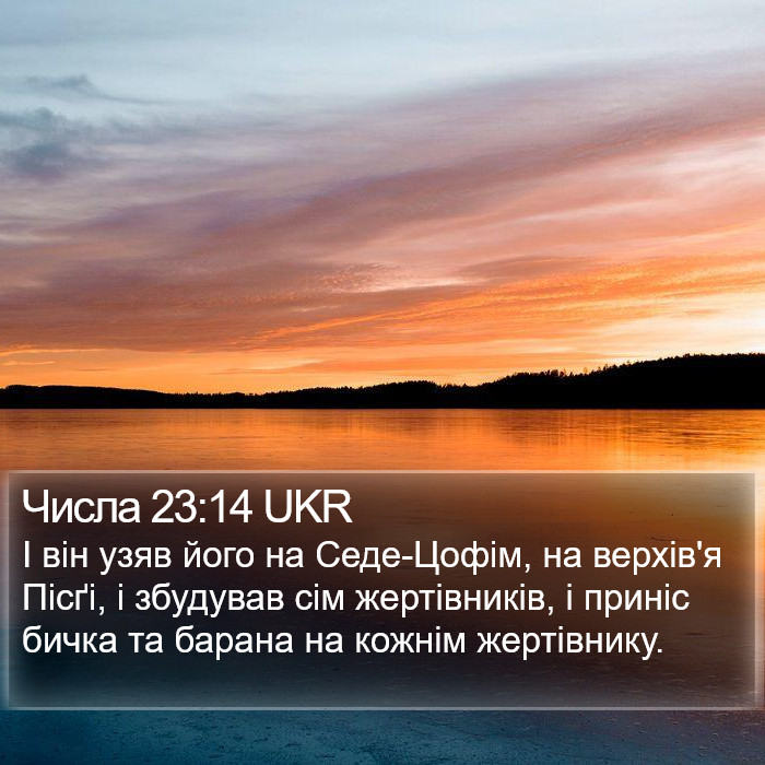 Числа 23:14 UKR Bible Study